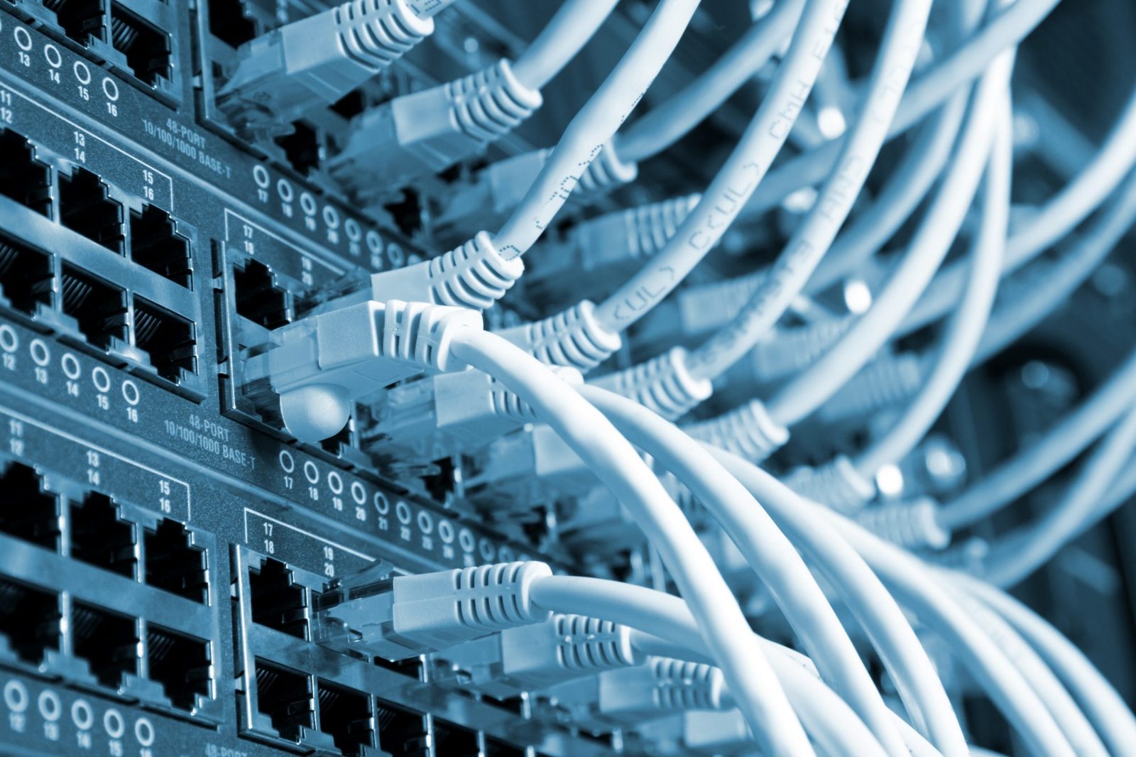 Rows of white Ethernet cables plugged into network switch ports, in a blue tint