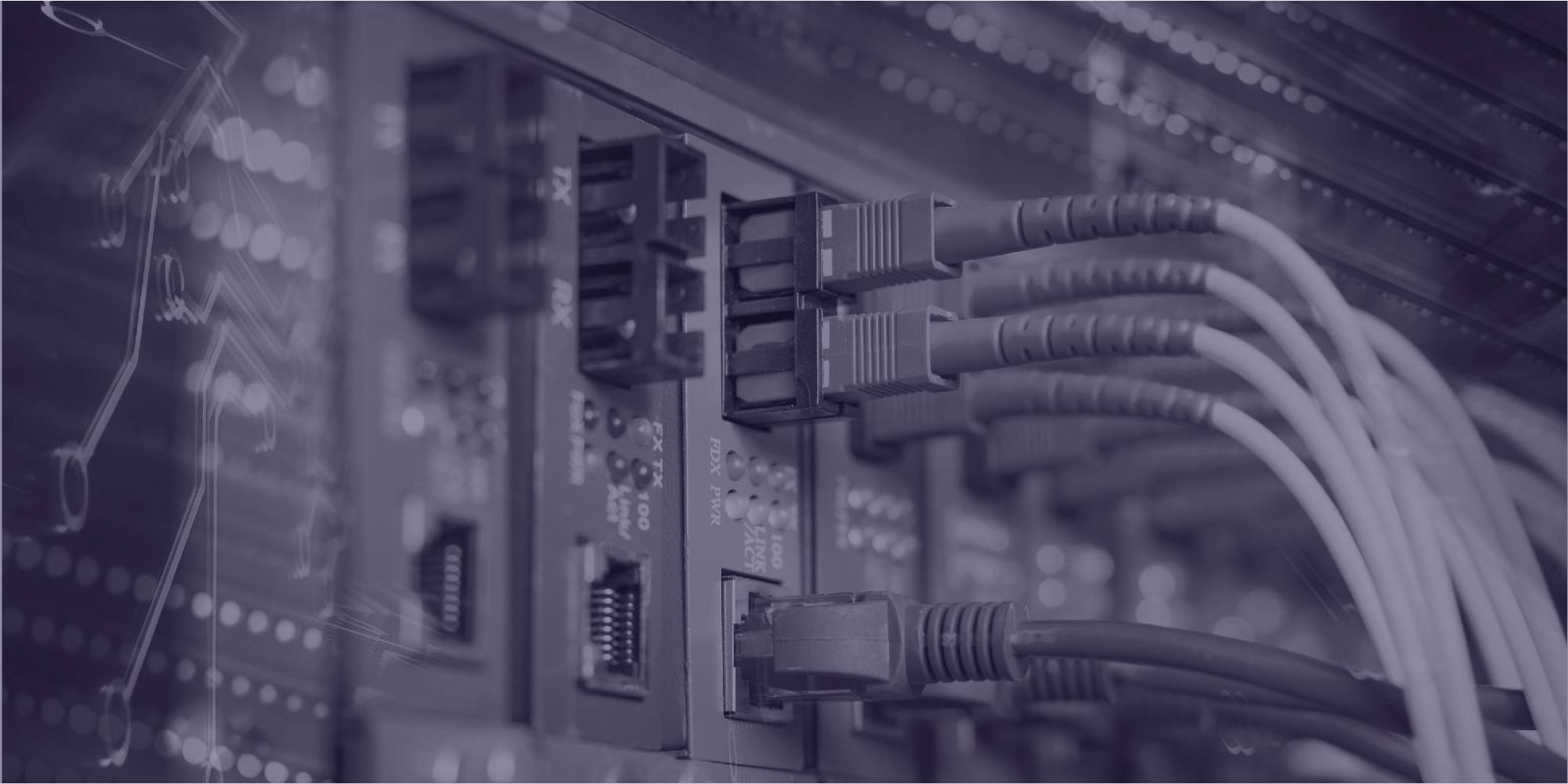 Network switch with grey patch cables plugged into a server rack, under a purple tint