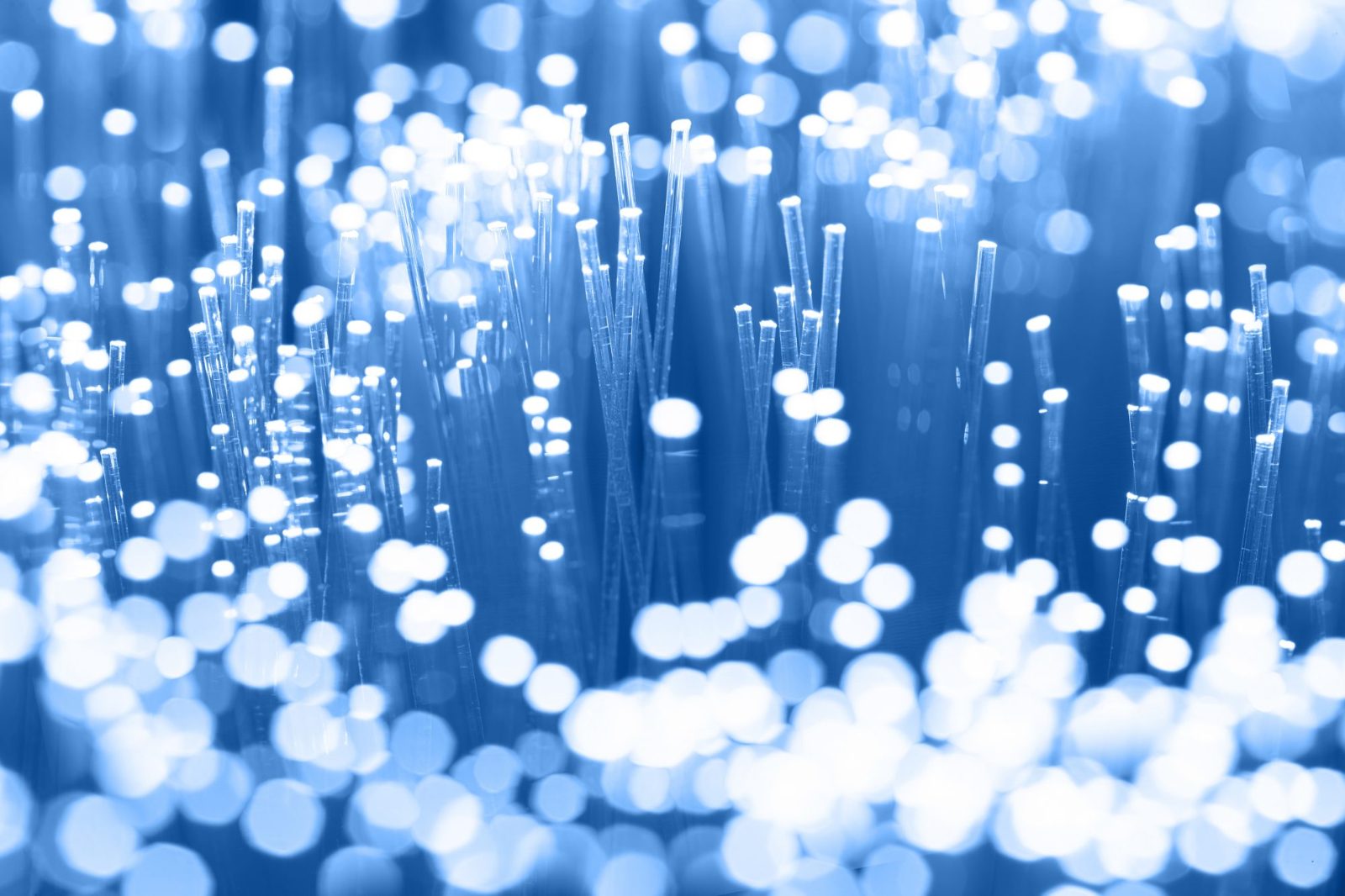 Bundle of fibre-optic strands with glowing blue and white tips
