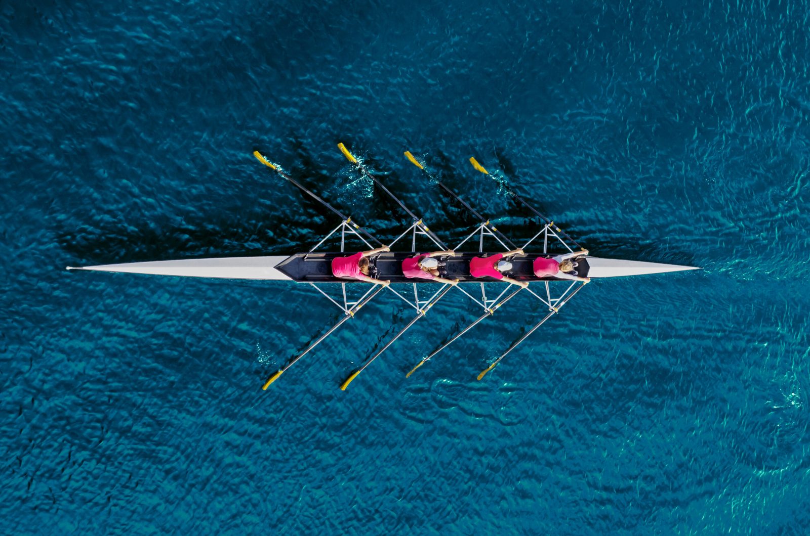 Aerial view of four rowers in pink tops pulling a racing shell across deep blue water