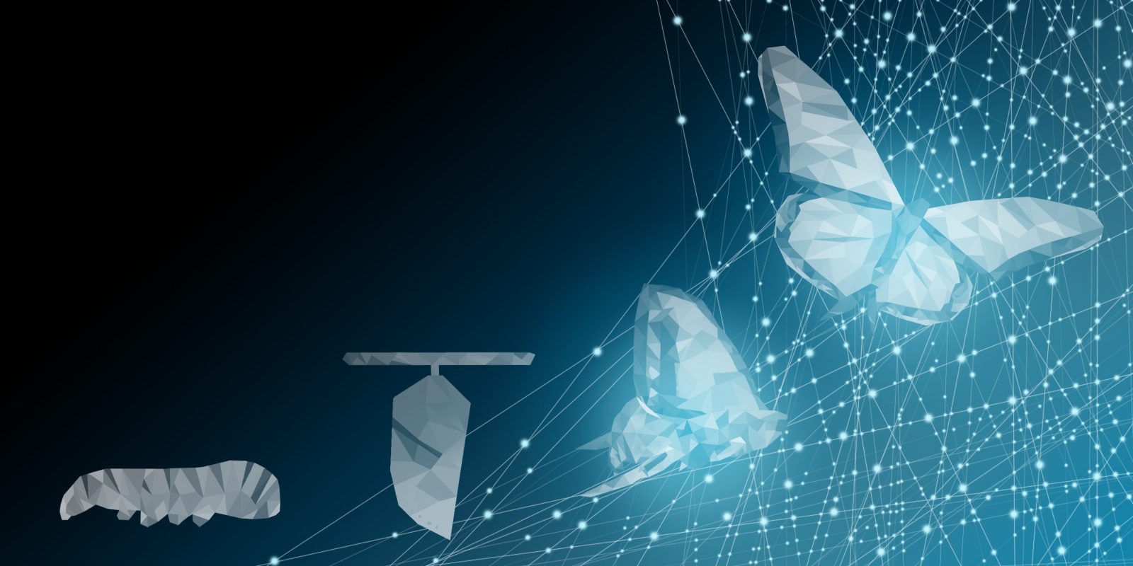 Low-poly illustration of a caterpillar, chrysalis and butterflies emerging amid network lines